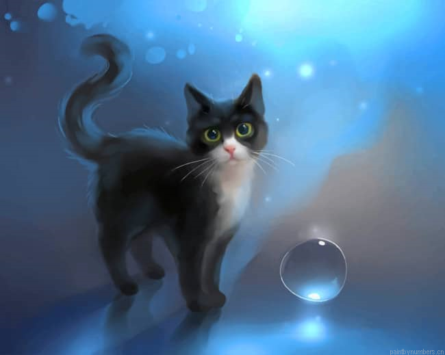 Black And White Cat Animals Painting By Numberss.png