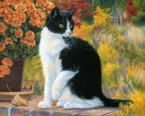 Black And White Cat Painting By Numbers.png
