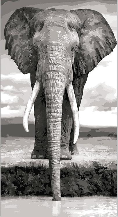 Black And White Elephant Painting By Numberss.png