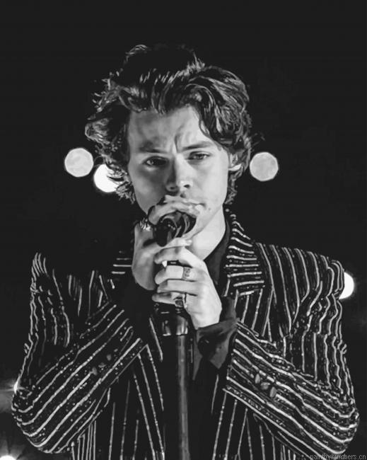 Black And White Harry Singing Painting By Numberss.png