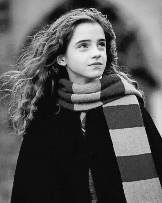 Black And White Hermione Granger Harry Potter Painting By Numberss.png