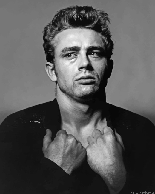 Black And White James Dean Painting By Numbers.png
