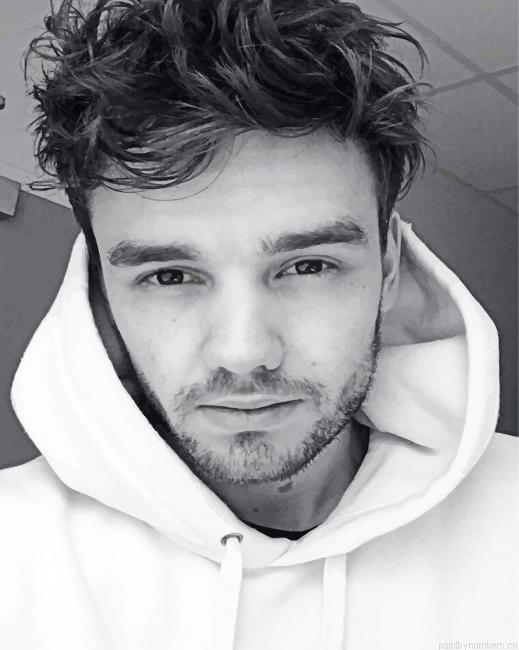 Black And White Liam Payne Singers Painting By Numberss.png