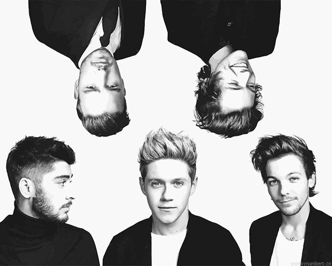 Black And White One Direction Painting By Numbers.png