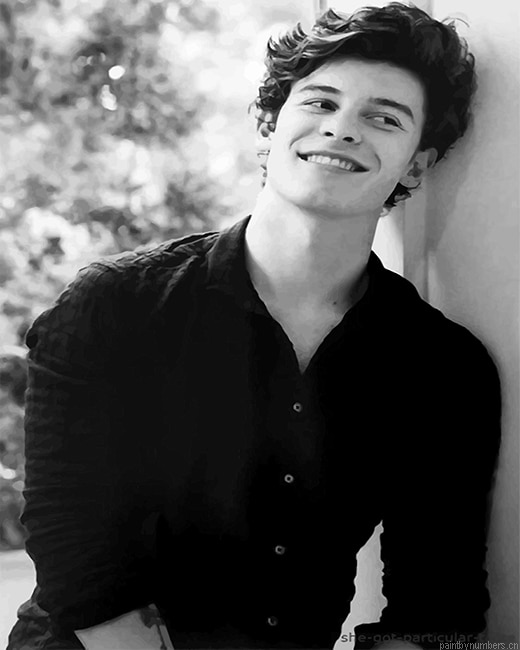 Black And White Shawn Mendes Painting By Numberss.png