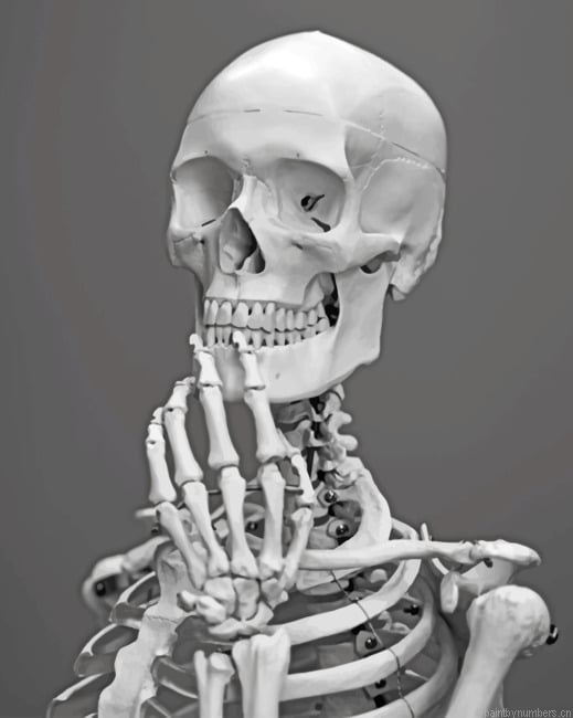 Black And White Skull Painting By Numberss.png