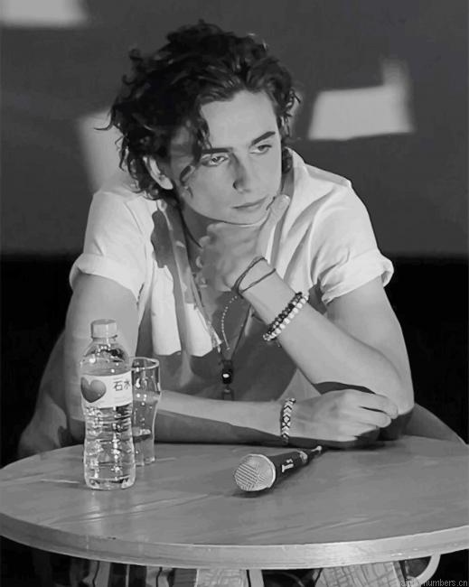 Black And White Timothee Chalamet Actors Painting By Numberss.png