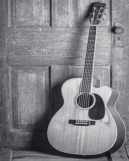 Black And White Guitar Painting By Numberss.png