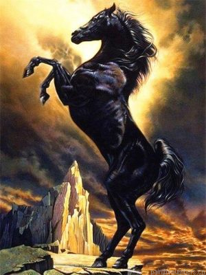 Black Arabian Horse Painting By Numberss.png
