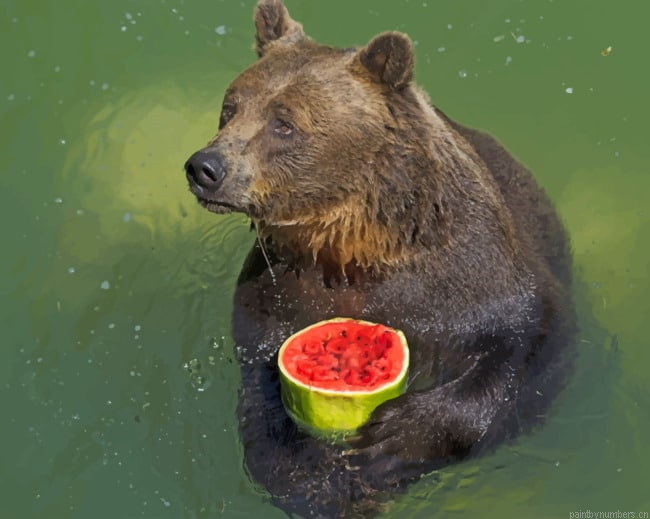 Black Bear Eating Fruit Animals Painting By Numberss.png