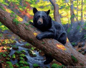 Black Bear Painting By Numbers.png