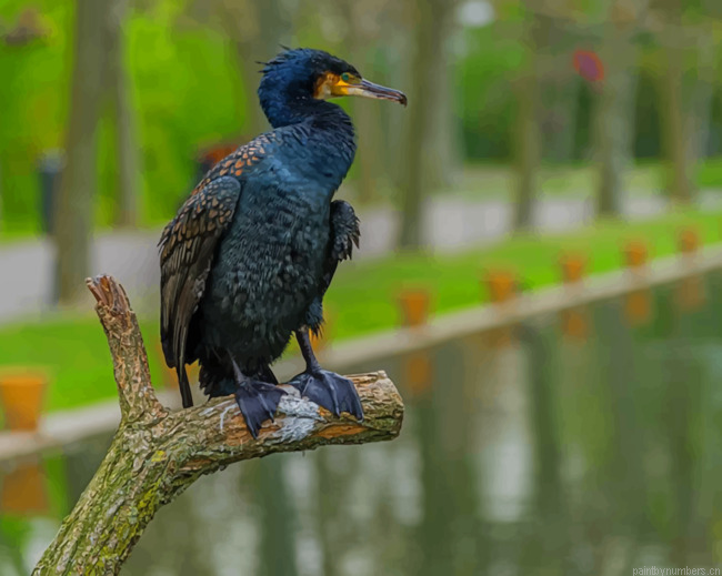 Black Bird Perch On Tree Branch Painting By Numberss.png