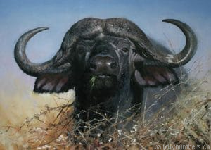 Black Buffalo Painting By Numberss.png