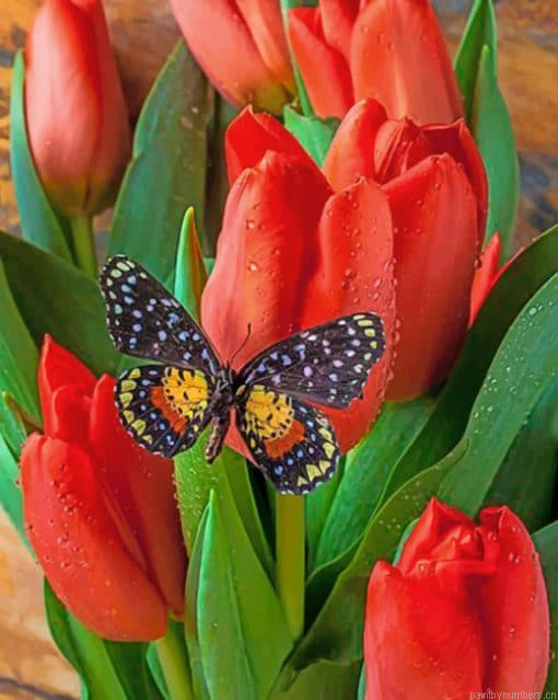 Black Butterfly Insects Painting By Numberss.png