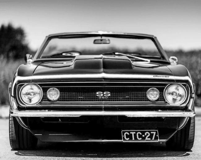 Black Camaro Chevrolet Cars Painting By Numberss.png