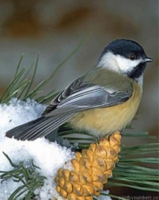 Black Capped Chickadee Painting By Numbers.png