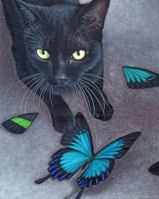 Black Cat And Butterflies Painting By Numbers.png