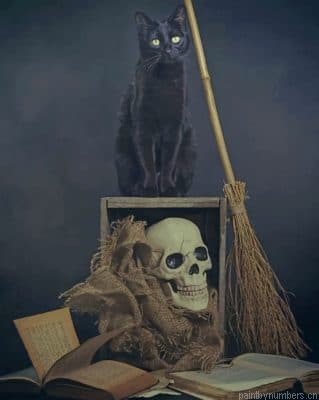 Black Cat And Skull Painting By Numberss.png