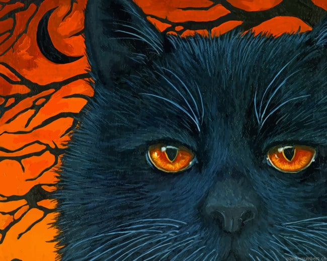 Black Cat Halloween Animals Painting By Numberss.png