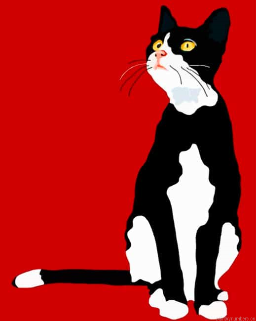 Black Cat Illustration Animals Painting By Numberss.png