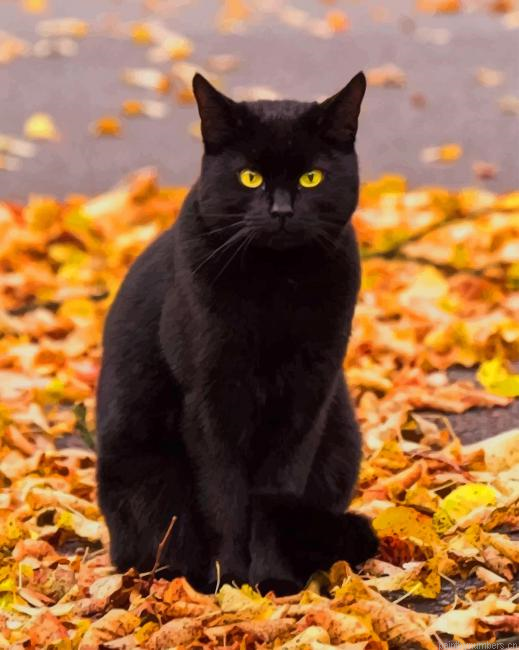Black Cat In Autumn Animals Painting By Numberss.png
