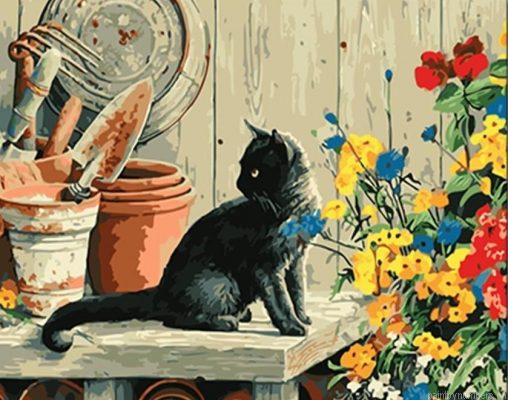 Black Cat On Table Painting By Numbers.png