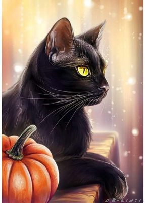 Black Cat Painting By Numbers.png