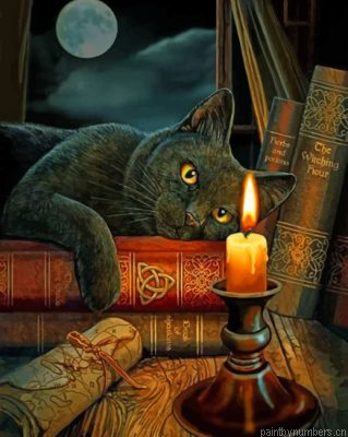 Black Cat Staring At A Candle Painting By Numbers.png