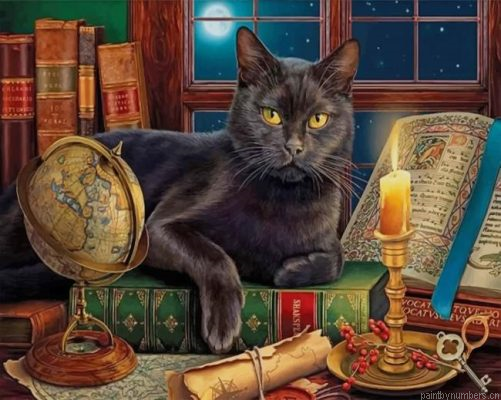 Black Cat By Candlelight Painting By Numbers.png