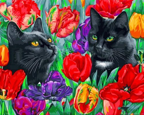 Black Cats Painting By Numbers.png