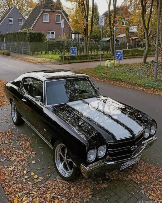Black Chevrolet Chevelle Cars Painting By Numberss.png