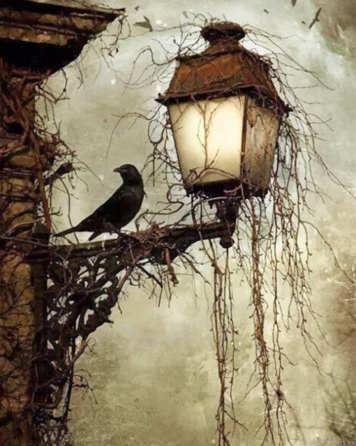 Black Crow Painting By Numberss.png