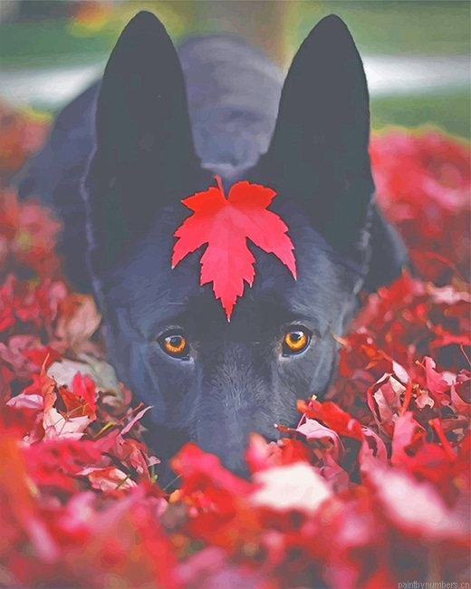 Black Dog In Leaves Animals Painting By Numberss.png