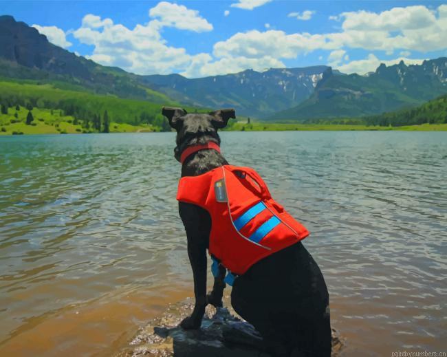 Black Dog Wearing Vest Animals Painting By Numberss.png