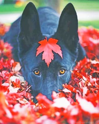 Black German Shepherd Fall Painting By Numbers.png