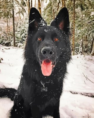 Black German Shepherd Painting By Numbers.png