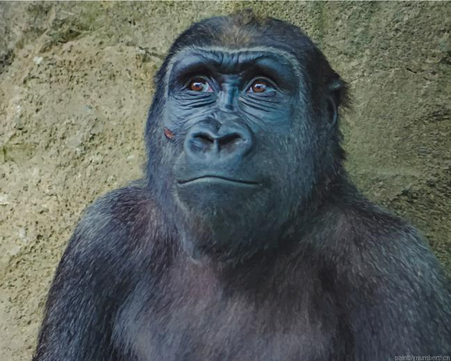 Black Gorilla Species Animals Painting By Numberss.png