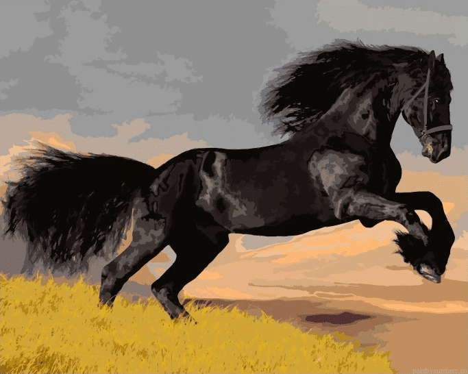 Black Horse Painting By Numbers.png