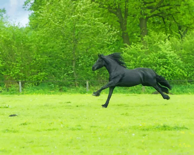Black Horse Running On Grass Field Animals Painting By Numberss.png