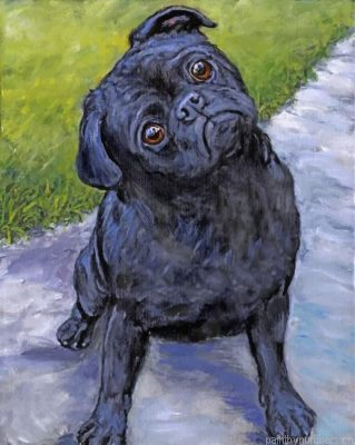 Black Pug Puppy Painting By Numbers.png
