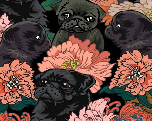 Black Pugs Painting By Numbers.png