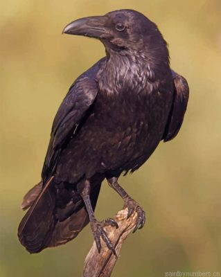Black Ravens Painting By Numbers.png