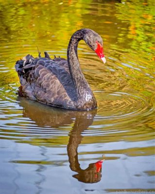 Black Swan Bird Painting By Numbers.png