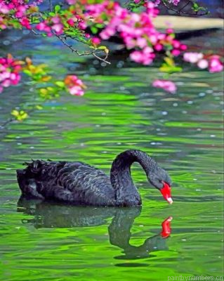 Black Swan Painting By Numbers.png