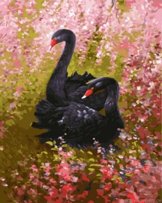 Black Swans Painting By Numbers.png
