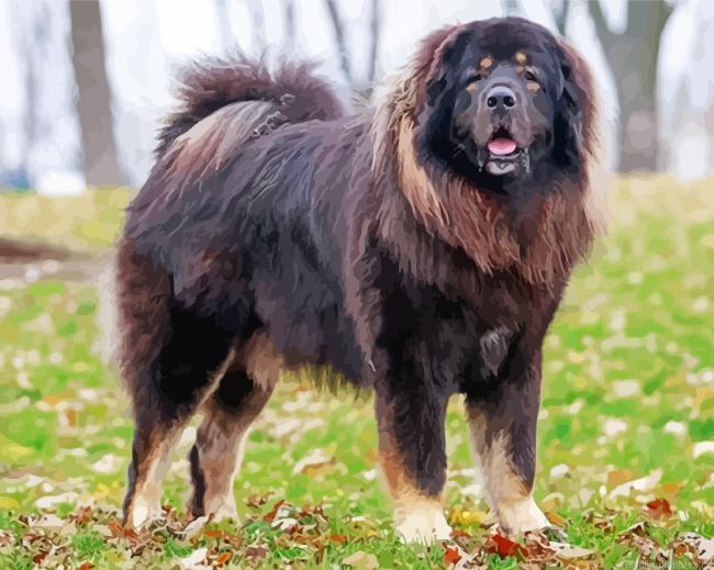 Black Tibetan Mastiff Painting By Numberss.png