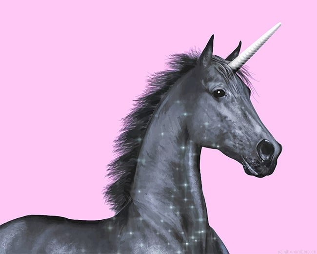 Black Unicorn Animals Painting By Numberss.png