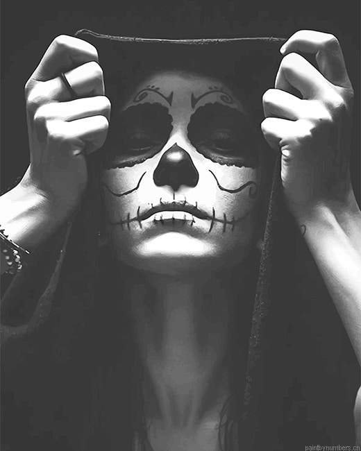 Black And White Skull Woman Painting By Numbers.png