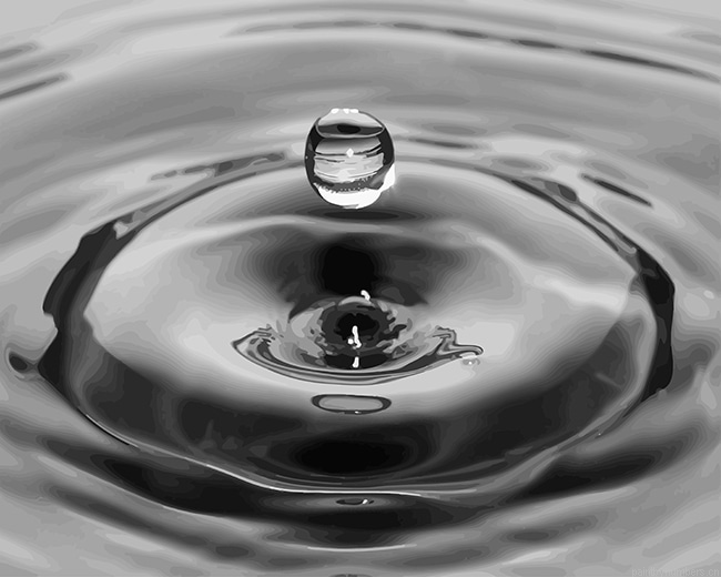 Black And White Water Drop Painting By Numberss.png