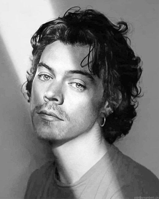 Black And White Harry Edward Styles Singers Painting By Numberss.png